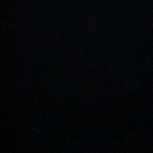 Meet your Posher, Hector